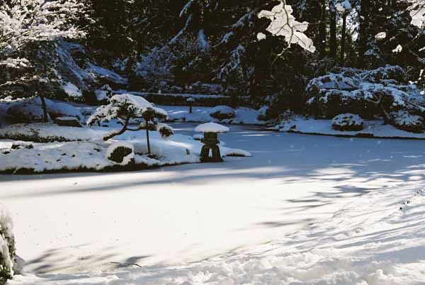 Nitobe Garden 1282