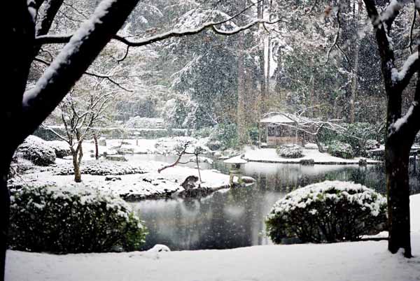 Nitobe Garden 1289