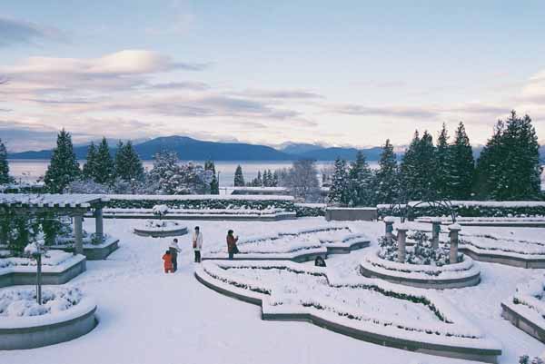 The Rose Garden 1313