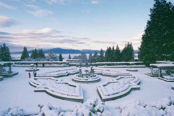 The Rose Garden 1314