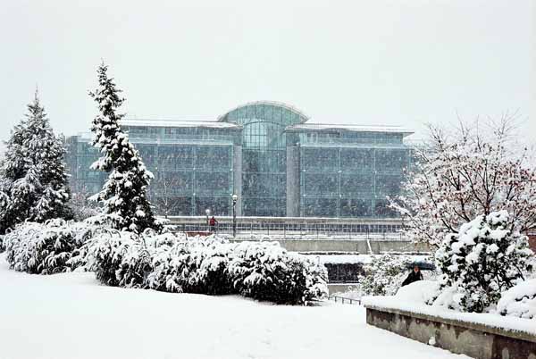 Koerner Library 1315