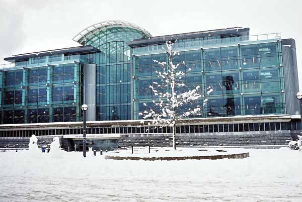 Koerner Library 1316