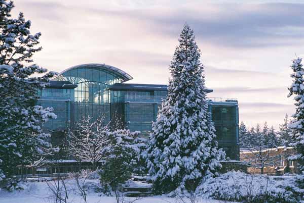 Koerner Library 1317