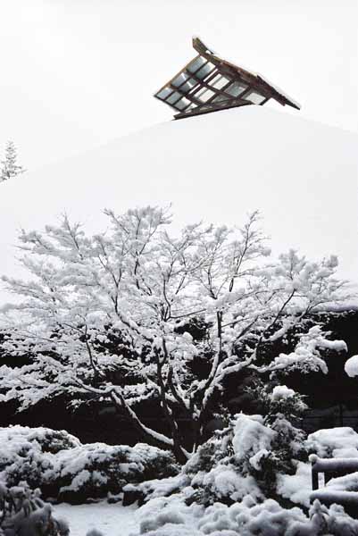 The Asian Center 1318