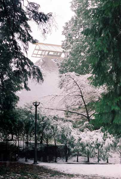 The Asian Center 1319