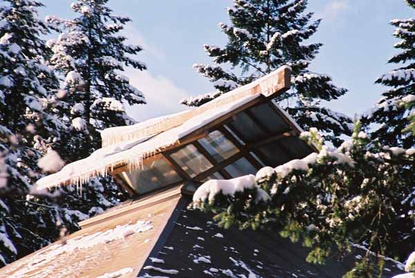 The Asian Center 1320