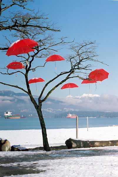 Rain Blossom Project 1371
