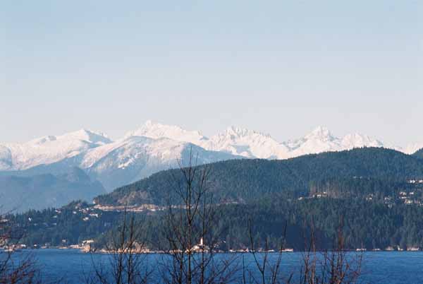 The North Shore1375