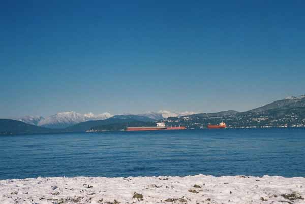 The North Shore1376