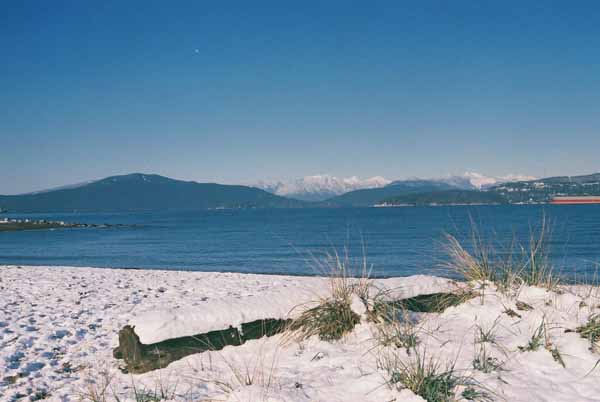 The North Shore1377