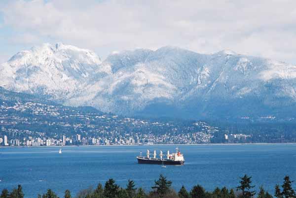 The North Shoew 1395